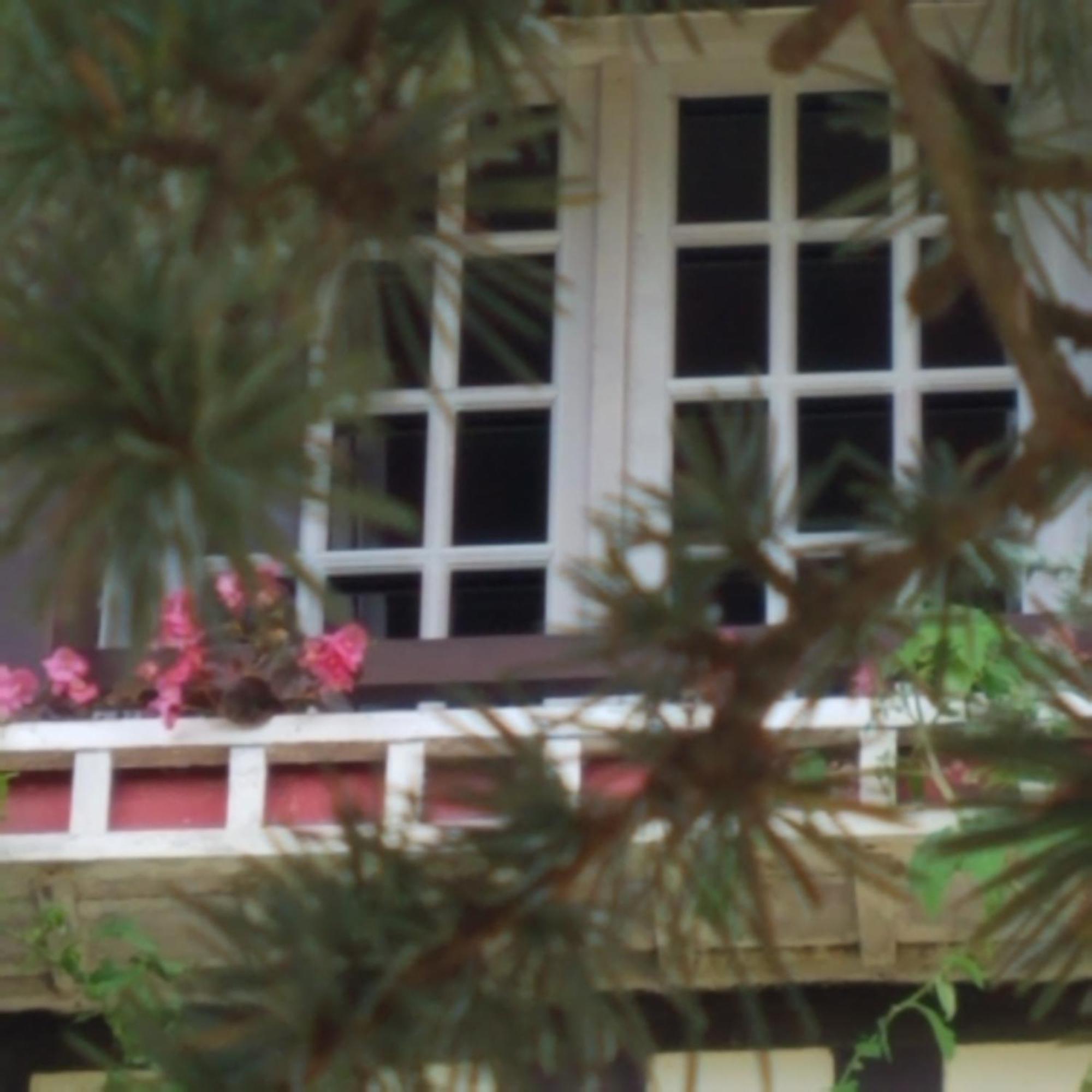 Apartamento Le vieux pré de la motte Villers-sur-Mer Exterior foto